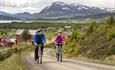 Cyclists on their way through the farming village Tyrisholt, with the mighty mountain Skogshorn looming in the background.