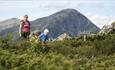 Ung kvinne med gutt på tur langs sti med einebærbusker i forgrunnen. I bakgrunnen ses fjell.