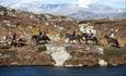 Ridetur i fjellet med Fjellrittet