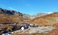 Ein Bergfluss fließt durch offene Fjellandschaft mit Bergen im Hintergrund.