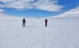 Skiers in the high mountains