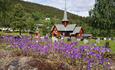 Purple flowers on a stonewall and a wooden church in the background.