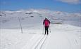 På tur Jomfruslettfjellet rundt, ikke langt fra toppen av Jomfruslettfjellet med utsikt mot Spåtind.