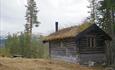 Alte Blockhütte auf einem Grashügel, umgeben von hochstammigen Kiefern