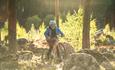 Ein Junge auf einem Mountainbike auf einem Waldtrail in Leira