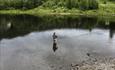 Fly fishing River Begna.