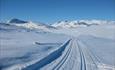 Cross-country skiing tracks in high mountains. Blue skies.