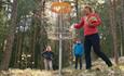 Three disc golf players in the forest close to Valdres Storhall in Leira.