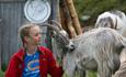 "A taste of farm life" at Olestølen