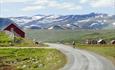 Syklist på grusvei med høye fjell i bakgrunnen og noen røde stølshus. Kyr går langs veien.