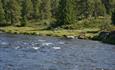 Idyllisk pauseplass ved bredden av Tisleia.