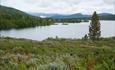 Bergsee mit niedriger Buschvegetation an den Ufern