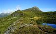 Et tjern ved tregrensa med fjell liggende bakenfor. Nydelig vær med blå himmel og crisp høstluft.