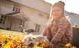 A little girl in knitwear plays with a rabbit in golden, fallen leaves on a farm yard.