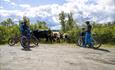 A family watches cows that graze along the cycling road.