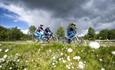 A family is cycling along Mjølkevegen. Cottangrass on bloom can be seen in the foreground.