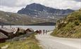 Fire syklister på grusvei i en sving rundt en felsknaus, med røde stølshus på den andre siden. I bakgrunnen ses en flik at Vinstre og det mektige fjellet Bitihorn.