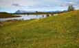 A meadow with blooming dandelions, a small lake and mountains in the background.