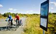 Cycling across Golsfjellet