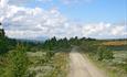 A gravel road just over the tree line with bush vegetation, a few spruce trees, a farm house and a view to the mountains.