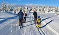 A family on cross-country skies in freshly grooomed tracks and snow clad trees in the background.