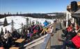 Påskestemning i solveggen på Koja Panorama. Skog og fjell i bakgrunnen.