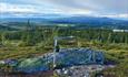 View from Vardafjell over vast low mountain landscape with spruce forests and lakes to Synnfjell.