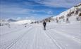 skiløyper i løype på snaufjellet med utsikt til fjell