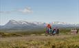 Cyclist with child trailer in open summer farming country with mountains in the background.