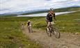 Mountainbiker auf einem Track über das Syndisfjell. Im Hintergrund sieht man Jotunheimens Berge.