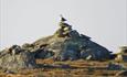 Long-tailed Skuas (Stercorarius longicaudus) sometimes occur on the Valdresflye high mountain plateau.