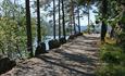 Auf dem Fahrradweg zwischen Fagernes und Leira, wo dieser durch eine Allee von Kiefern führt, mit dem See im Hintergrund.