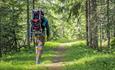 A man with a child carriwe hikes along a forest trail