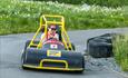 A girl with sunglasses steers a go-cart in a paved downhill-track through a flowering cottongrass meadow.