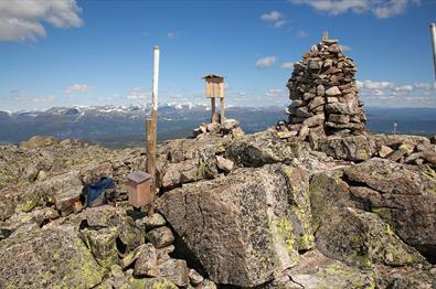 Toppvarden og trepostkasse på Gilafjell