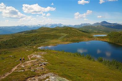 Utsikt fra Melbysfjellet mot Knausehøgdene og Bitihorn i bakgrunnen.