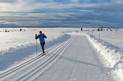 Photo: Storefjell Resort