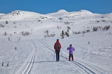 Lenningen und Synnfjell, Langlauf