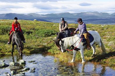 På hesteryggen, ridning i Norge, Oppland, Valdres, Golsfjellet, Storefjell, hest, dyr, ride, ridning.
