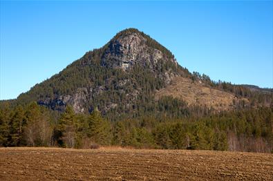 Puttekollen (Valdreshornet) 509 masl