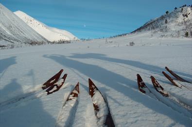 Ski-making course