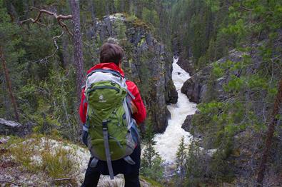 A woman stands at a viewpoint overlooking a river gorge in coniferous forest.