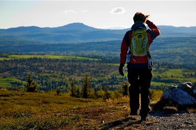 En kvinne med liten dagstursekk i motlys på an lav topp over tregrensa