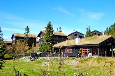 Aurdal Fjellpark en sommerdag.