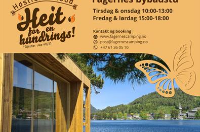 Heit for en hundrings i høstferien