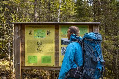 A man rading about the battle at Gråbeinhølet during WWII on an information board along the trail to Bagnsbergatn.