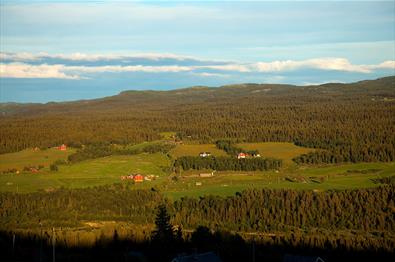 Utsikt fra Brattstølen mot gårder på andre side av Tisleidalen i kveldssol.