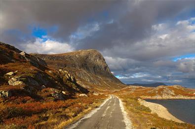 Autumn colours along Bygdisheimvegen with the mountain Synshorn in the background. The gravel road is flat and easy to cycle on.