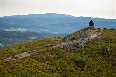 Die letzten Meter zur Gipfelwarte auf dem Jutulen. Im Hintergrund bewaldete Hänge und ein höherer Berg.