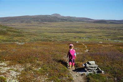 Nasjonalparkstien i Langsua